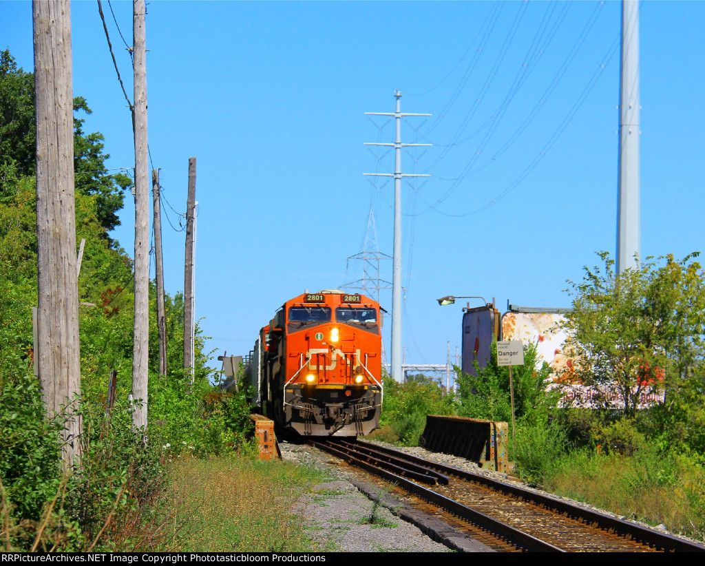 CN 2801